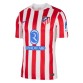 Atletico Madrid Hjemmedrakt 2025/2026